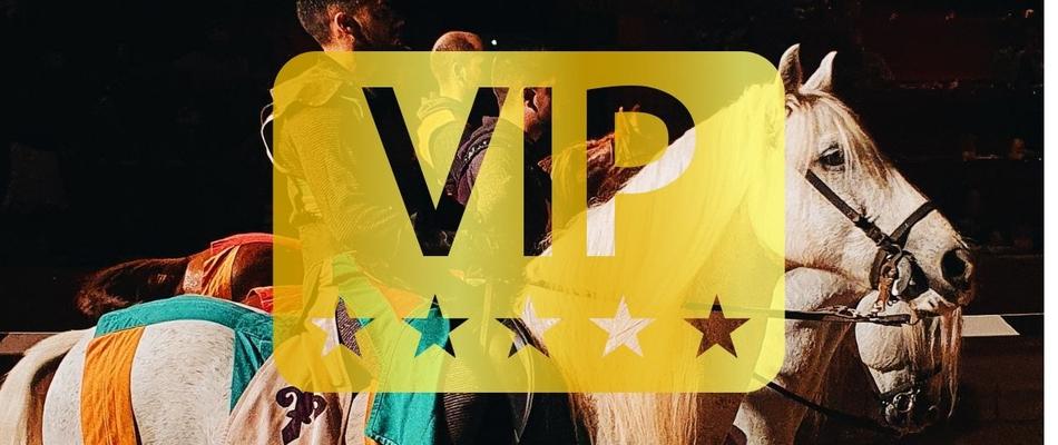 Ужин-шоу "Средневековый вызов» (VIP-Пасс) Отель Magic Villa Benidorm Бенидорме Ужин-шоу "Средневековый вызов» (VIP-Пасс) Отель Magic Villa Benidorm Бенидорме
